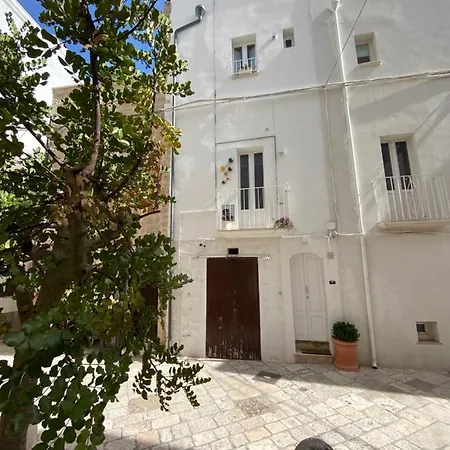 Casa Nini